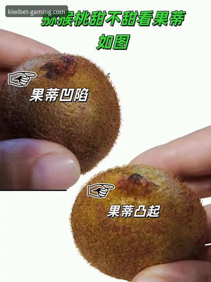 揭秘奇异果新手教程到底怎么样？深度剖析买球新手入门的真实体验